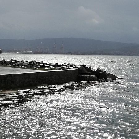 Guesthouse Skofije Ob Parenzani Spodnje Skofije Exterior foto
